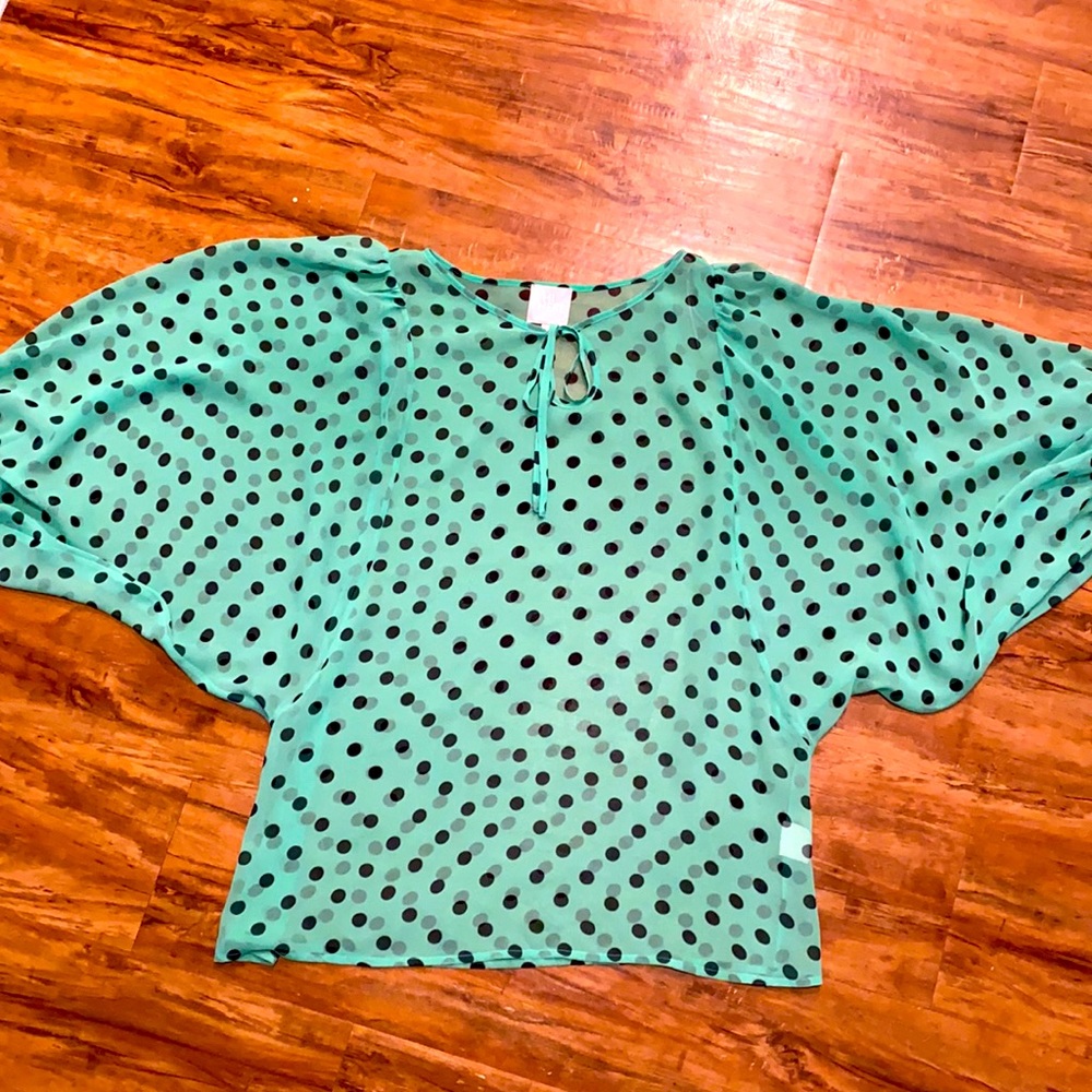 Karen Walker Sheer Peasant Blouse—8